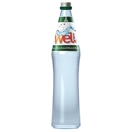 WELL SPARKLING WATER 12/600ML