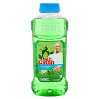 Mr. Clean Dish Wash Liquid Original 9/28oz